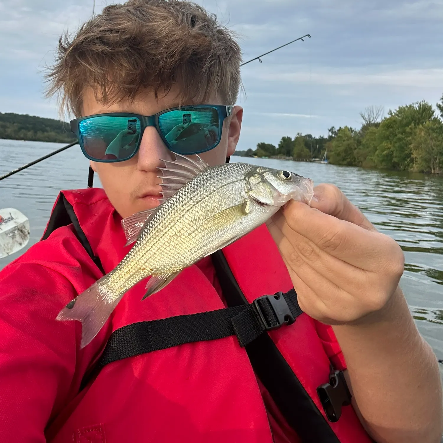 White perch caught on Fishbrain