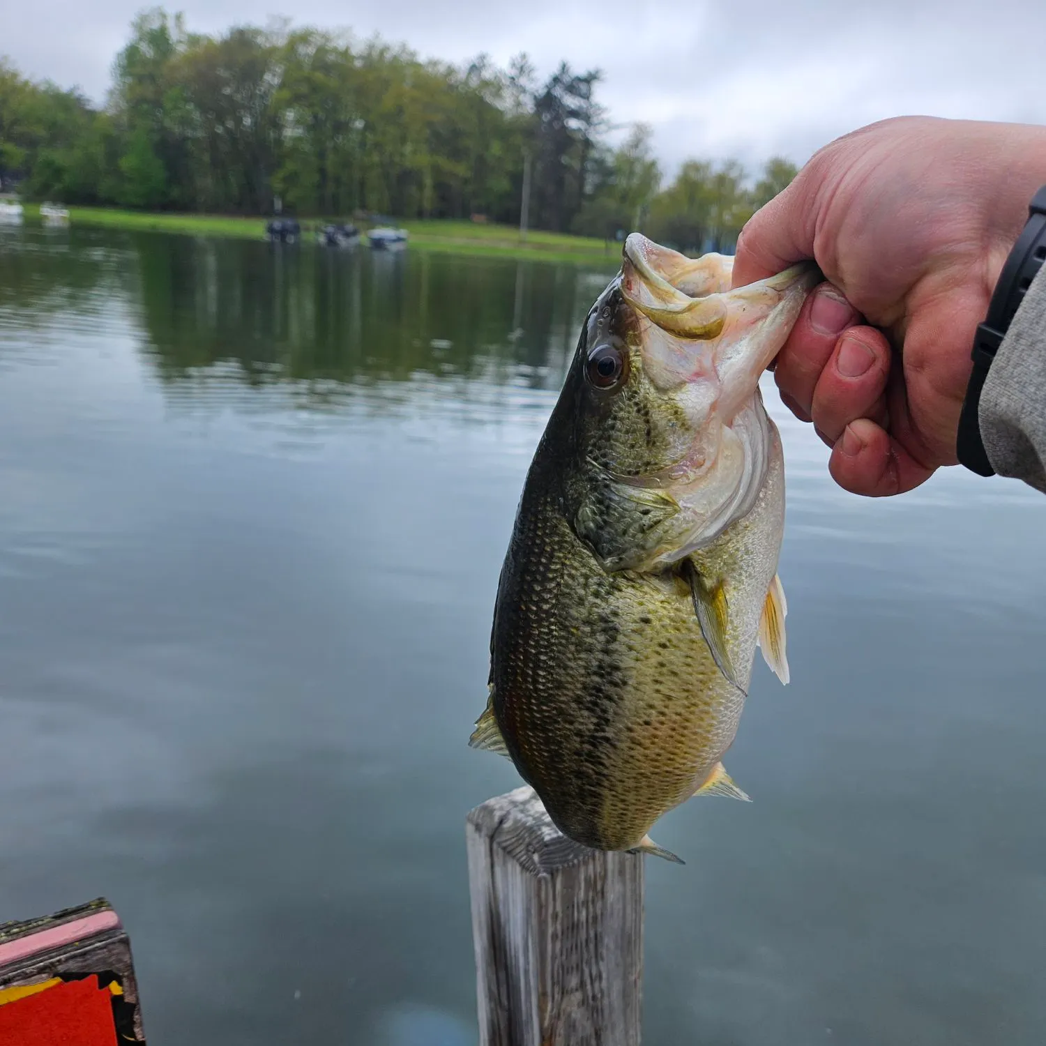 catch