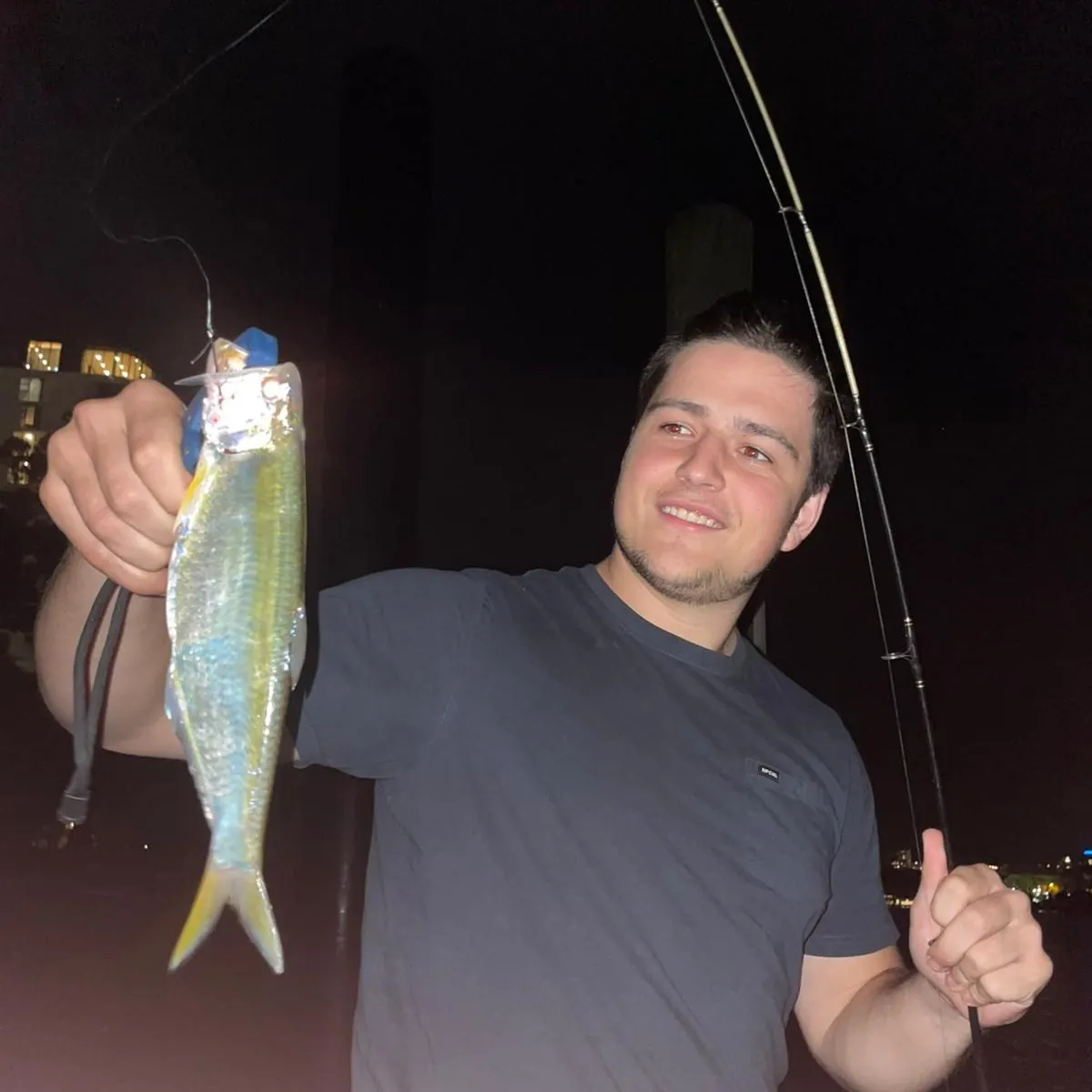 The most recent Silver mullet catches on Fishbrain