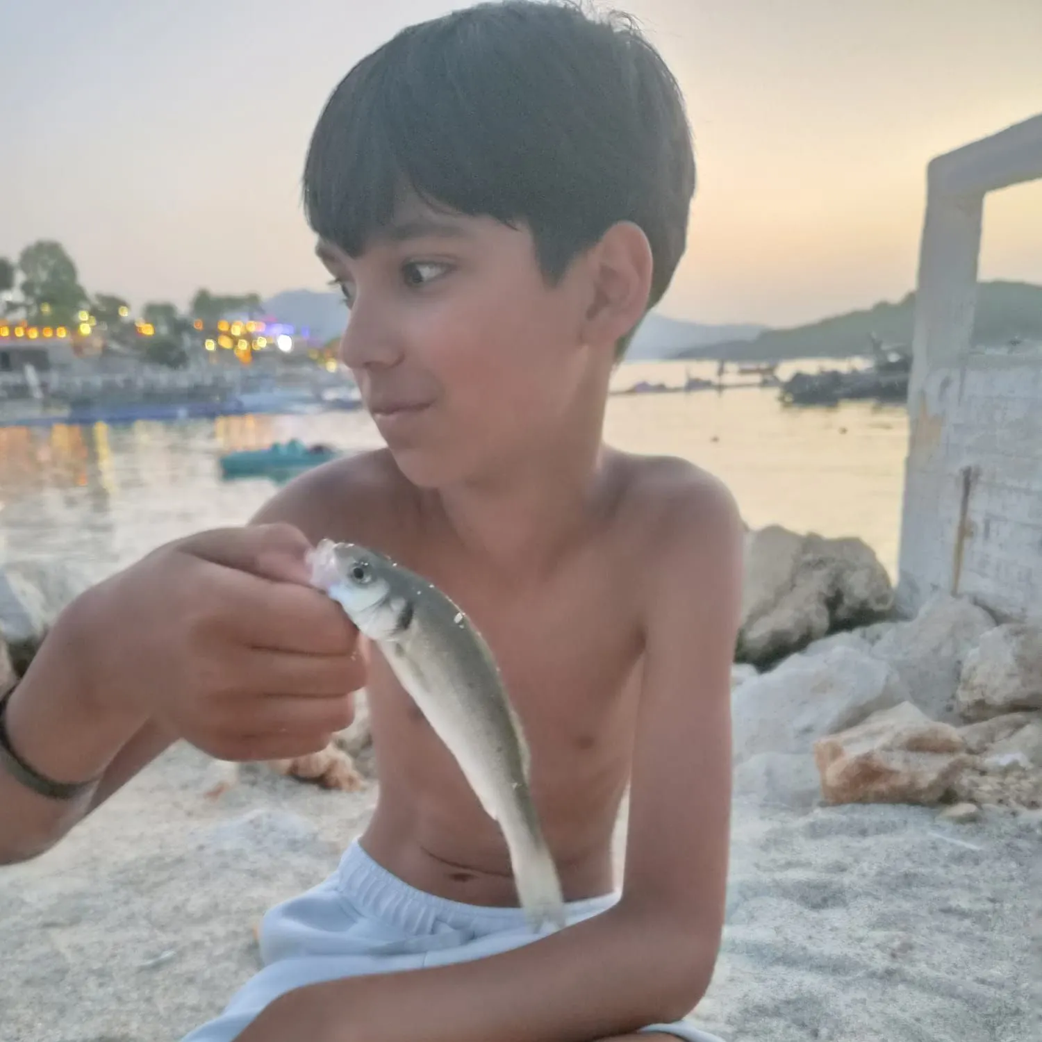 European seabass caught on Fishbrain