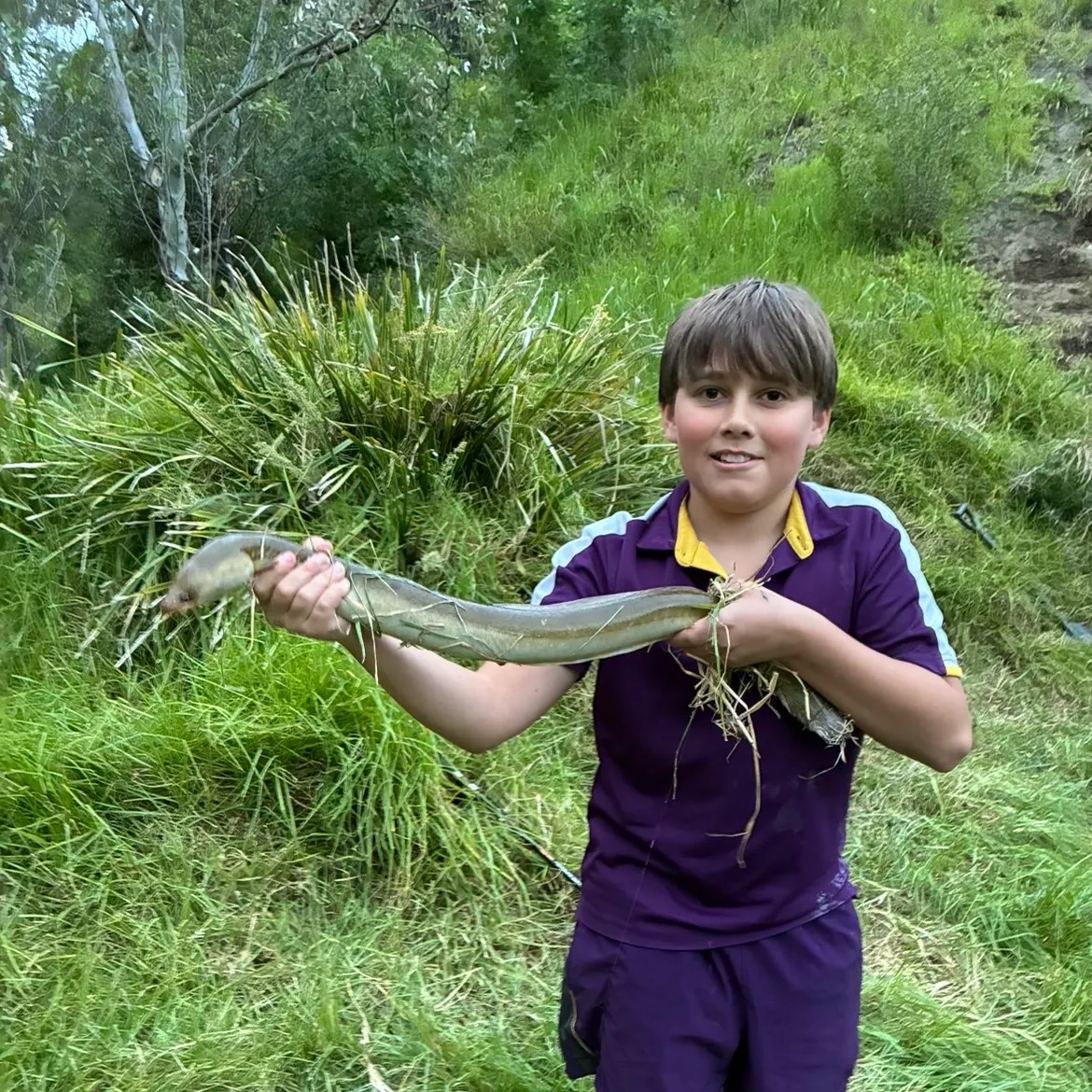 The most recent European eel catches on Fishbrain
