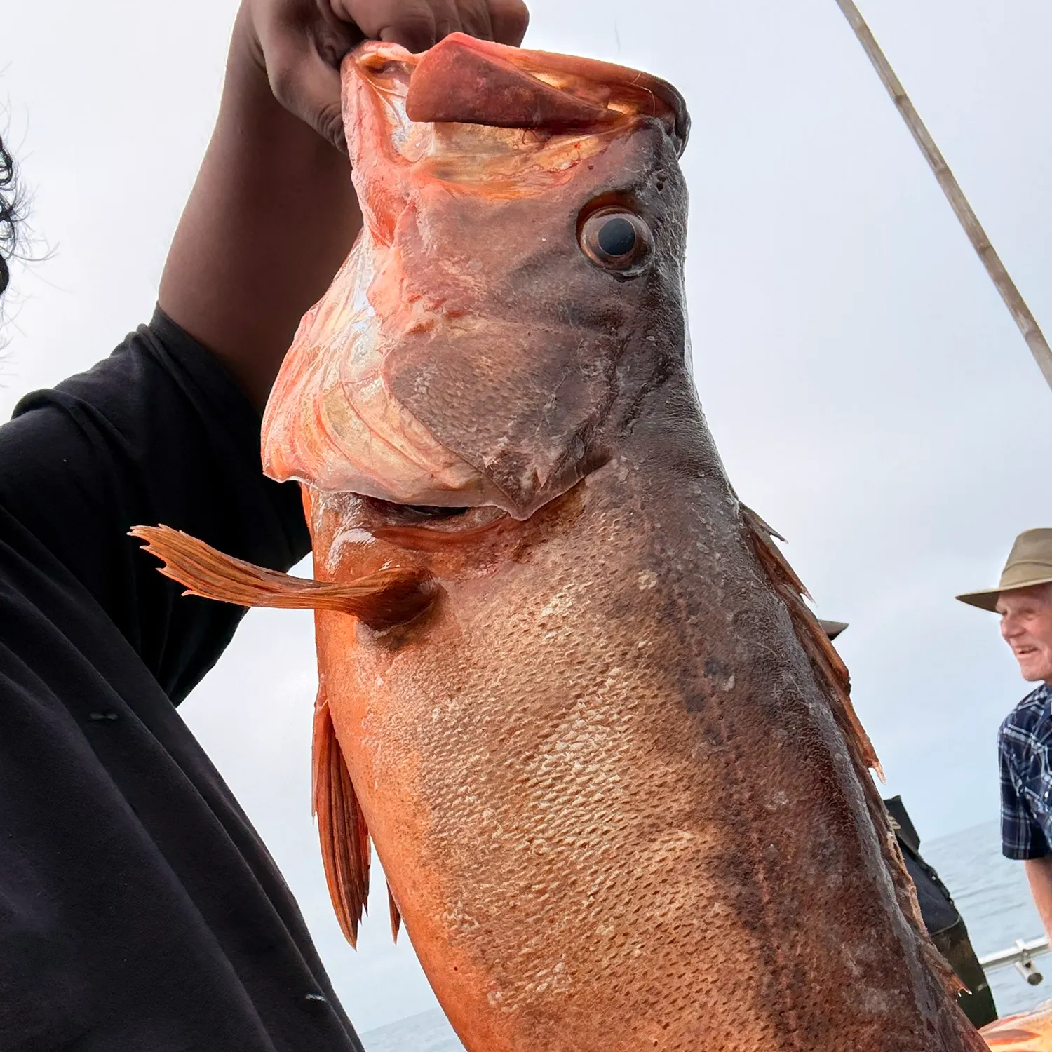 Fish caught on Fishbrain
