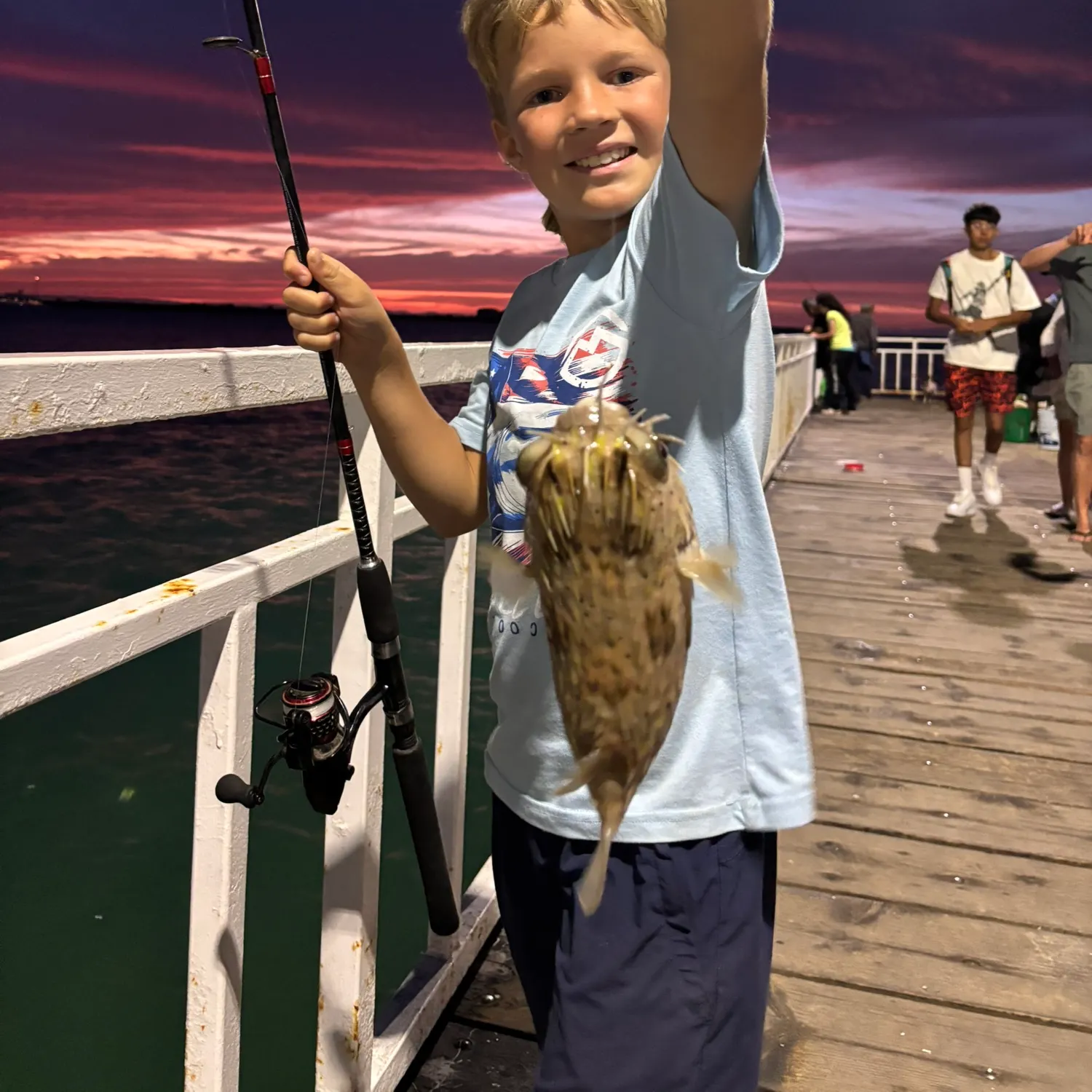 The most popular recent Longspined porcupinefish catch on Fishbrain