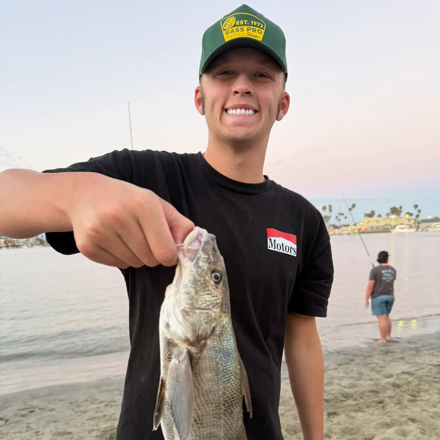 The most recent California corbina catches on Fishbrain