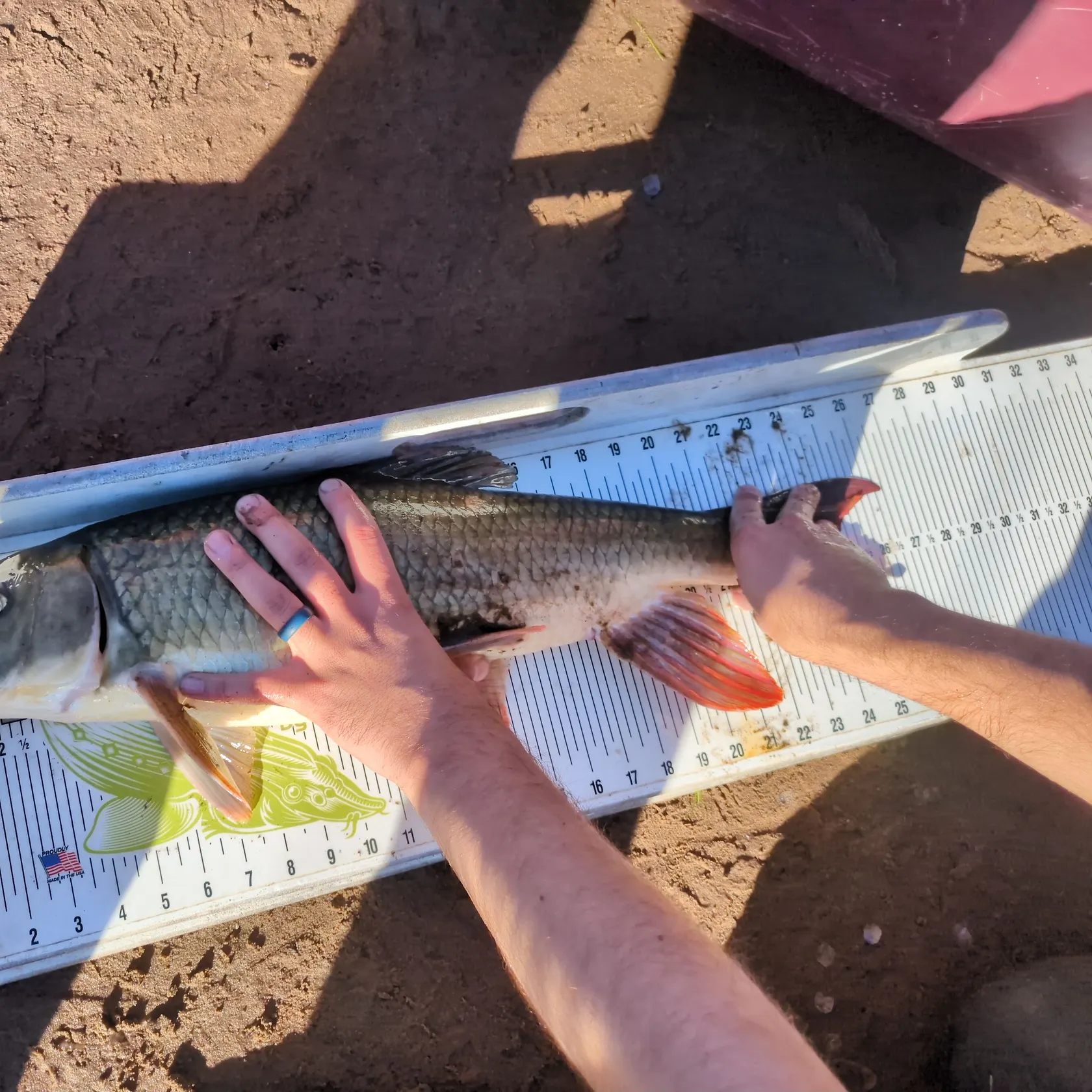 The most recent River redhorse catches on Fishbrain