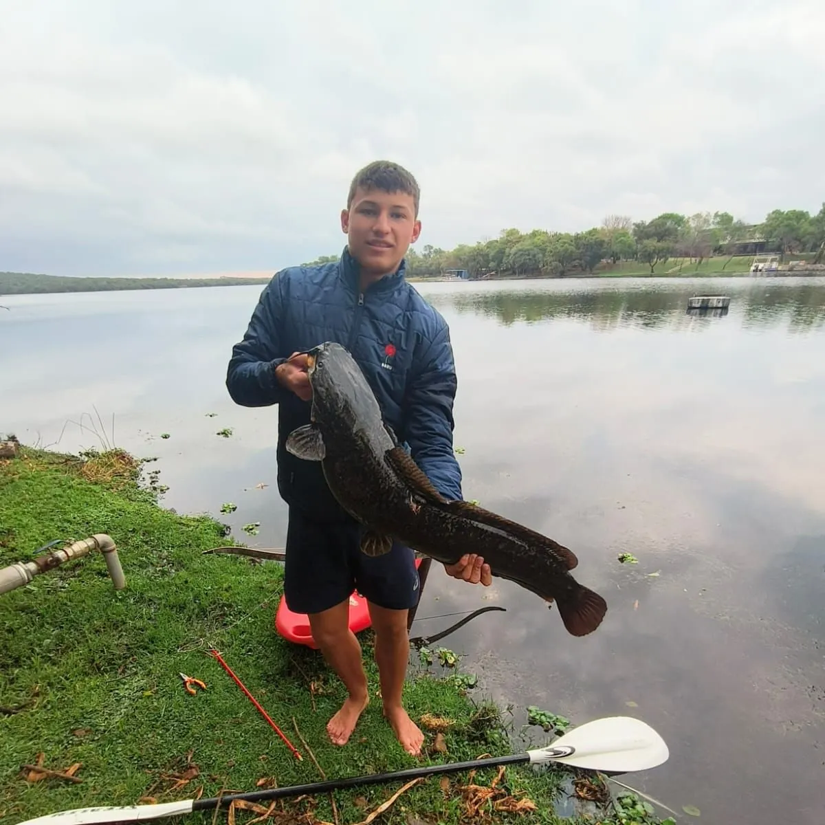 North African catfish caught on Fishbrain