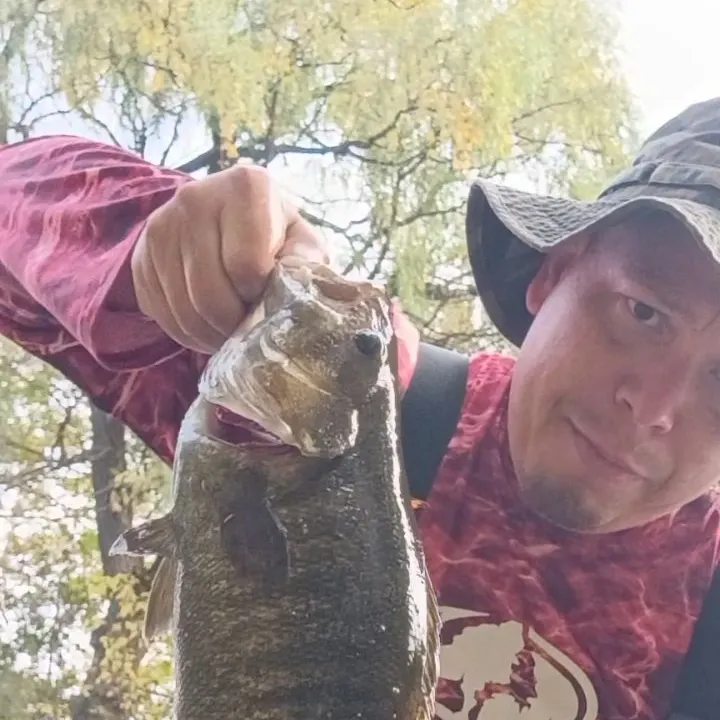 Smallmouth bass caught on Fishbrain