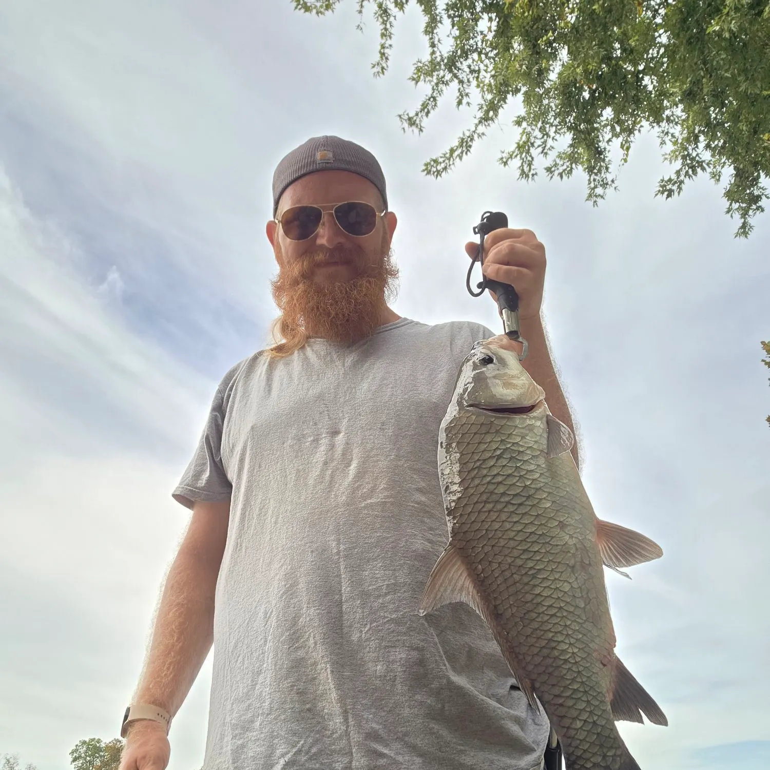 Smallmouth buffalo caught on Fishbrain