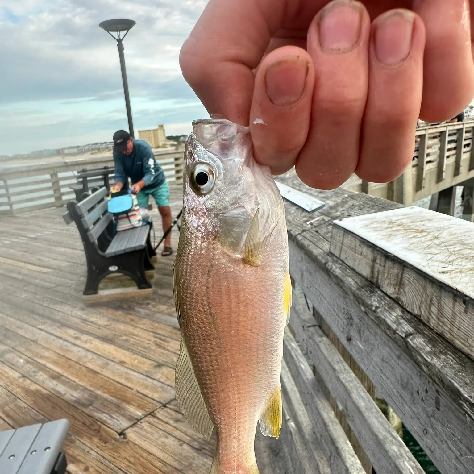 The most recent South American silver croaker catches on Fishbrain