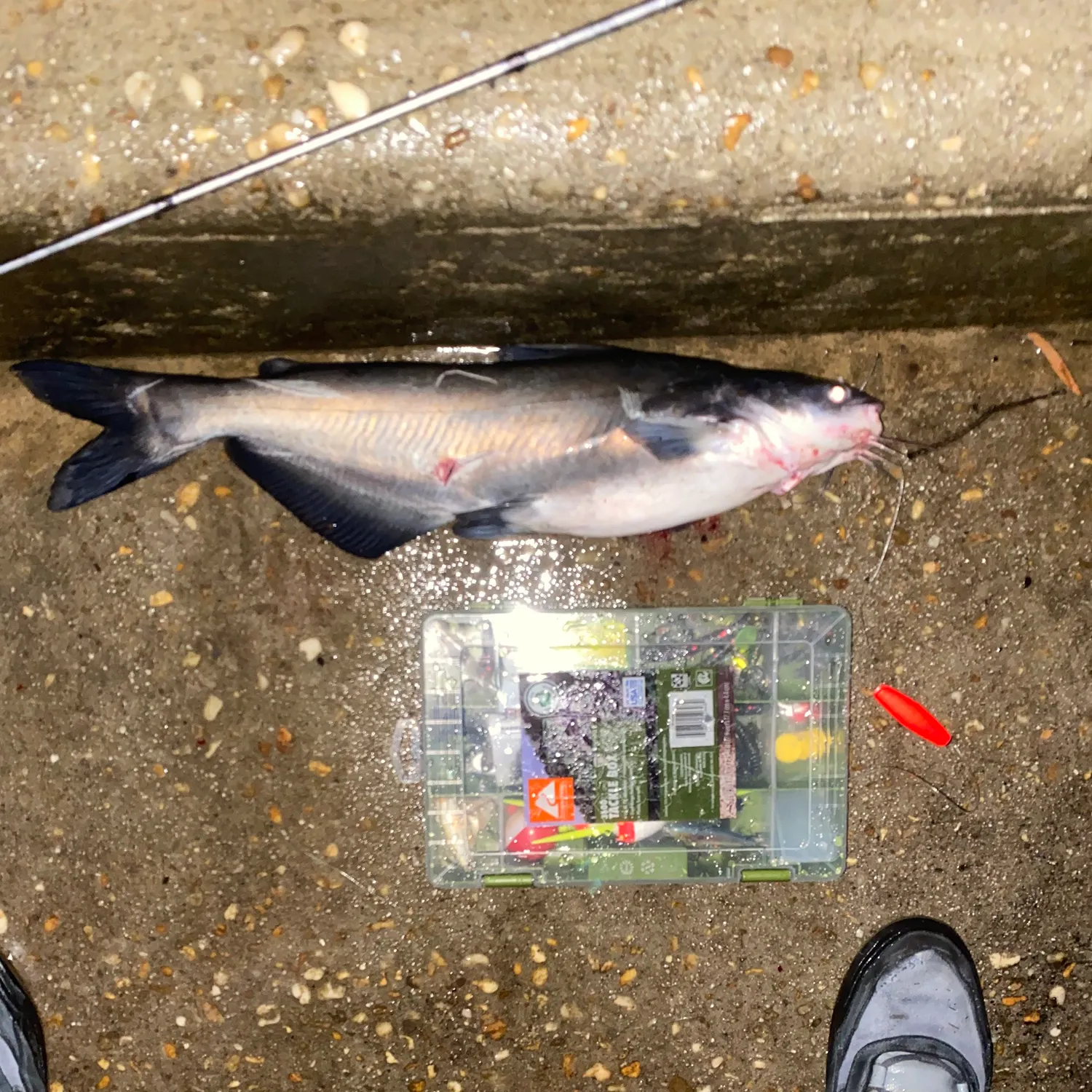 catch
