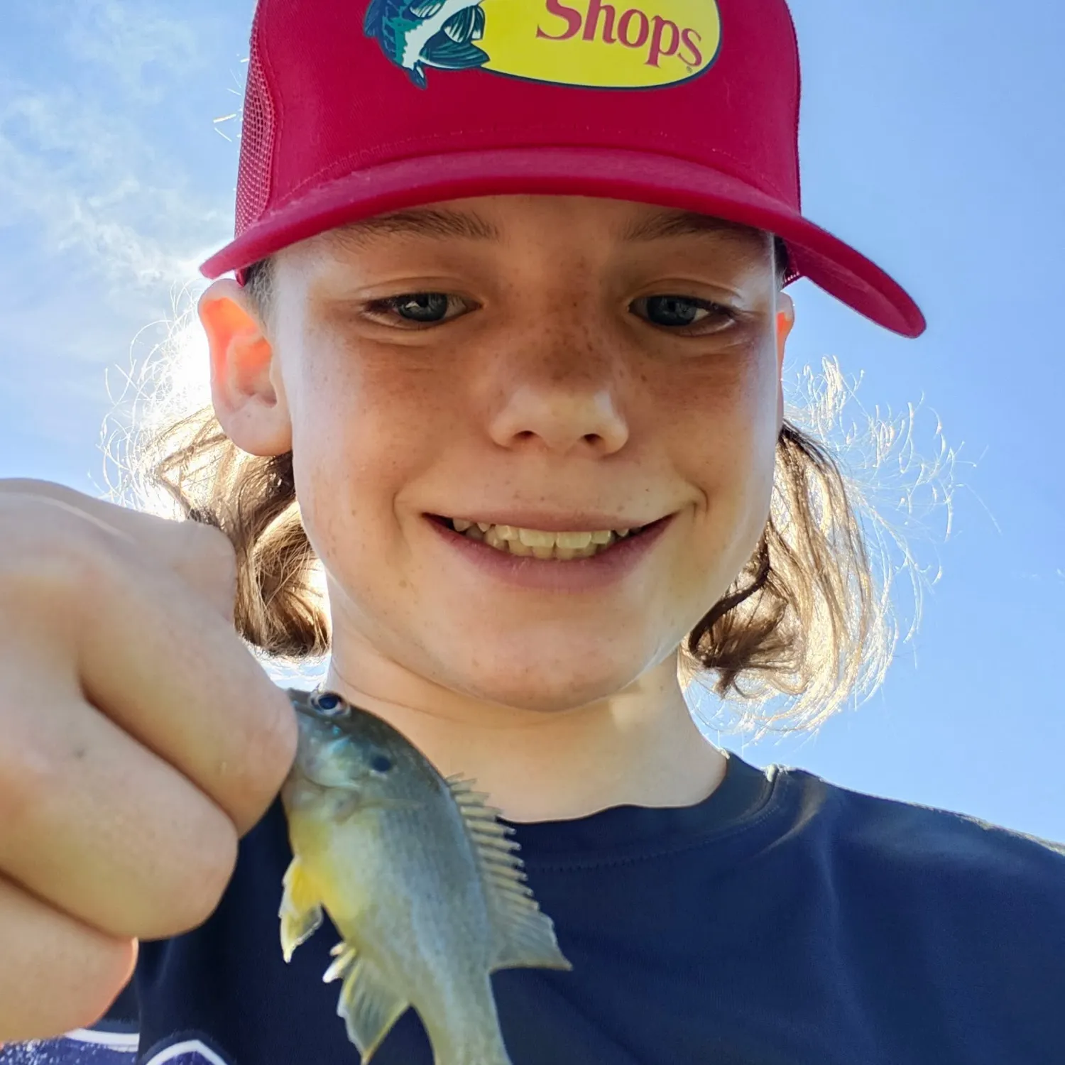 Bluegill caught on Fishbrain