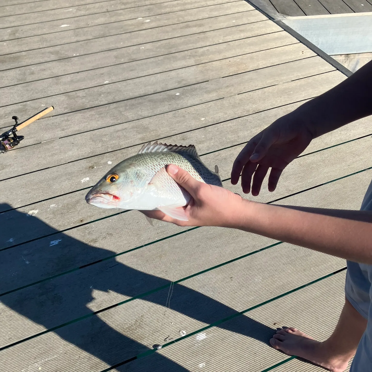 catch
