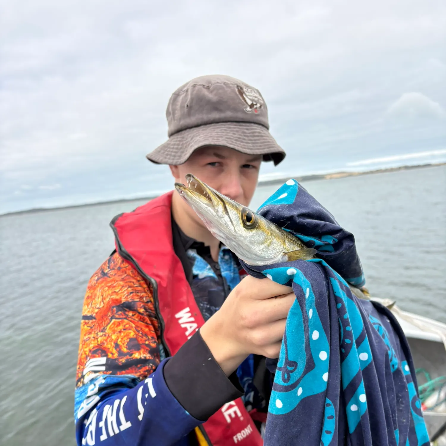 Australian barracuda caught on Fishbrain