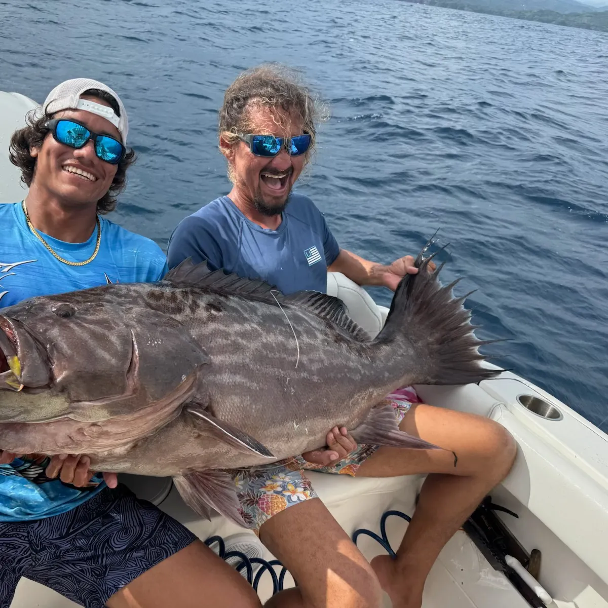The most recent Broomtail grouper catches on Fishbrain