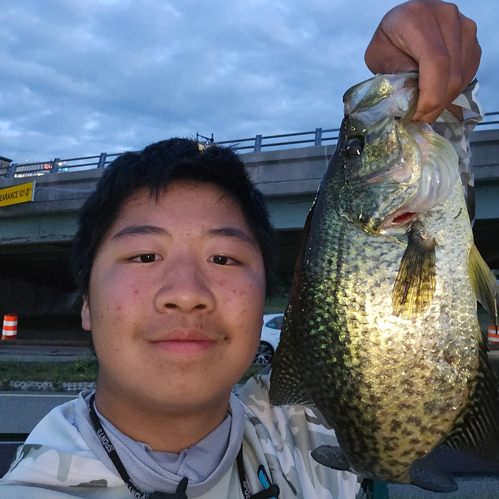 Black crappie caught on Fishbrain