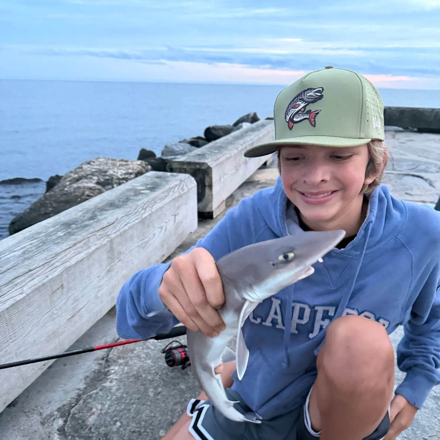 Dusky smooth-hound caught on Fishbrain