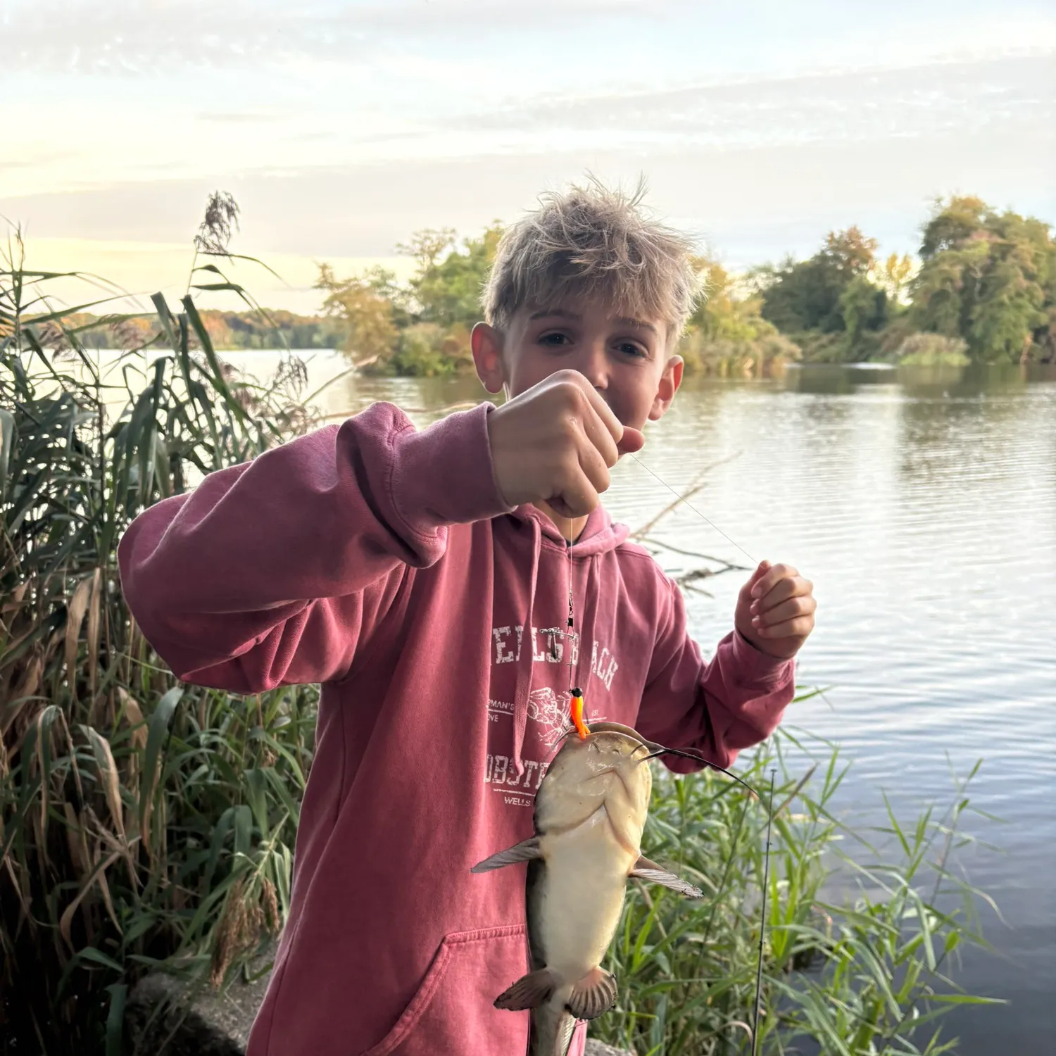 Brown bullhead caught on Fishbrain