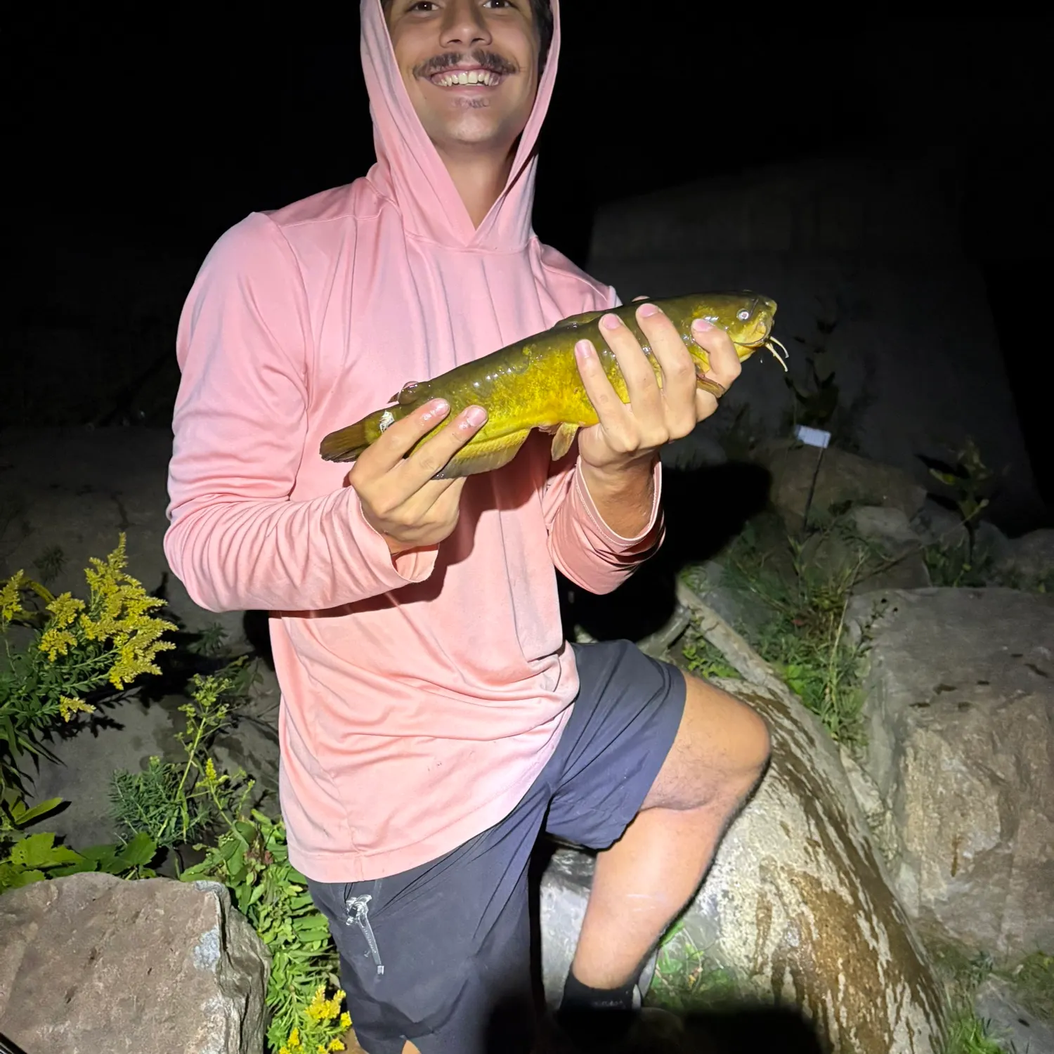 Yellow bullhead caught on Fishbrain