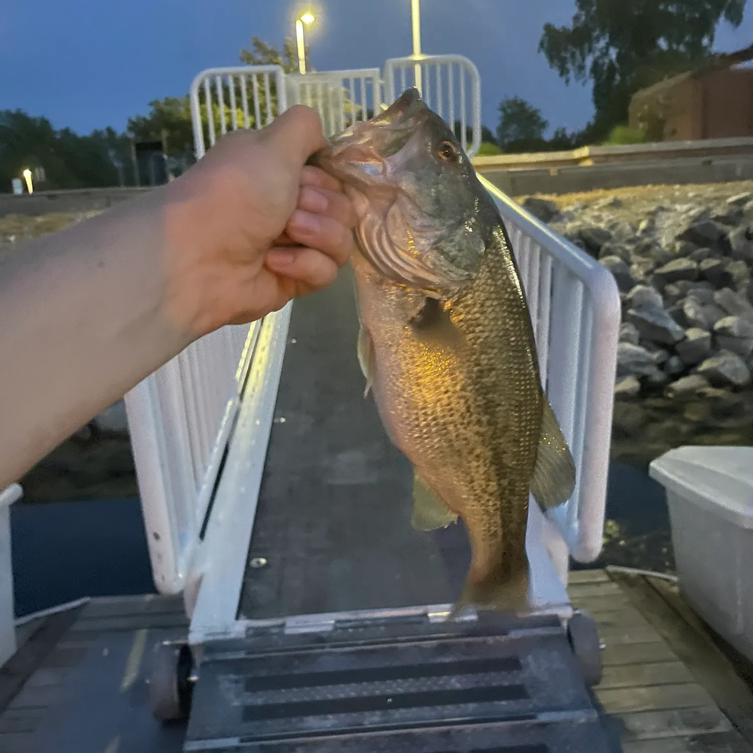 catch