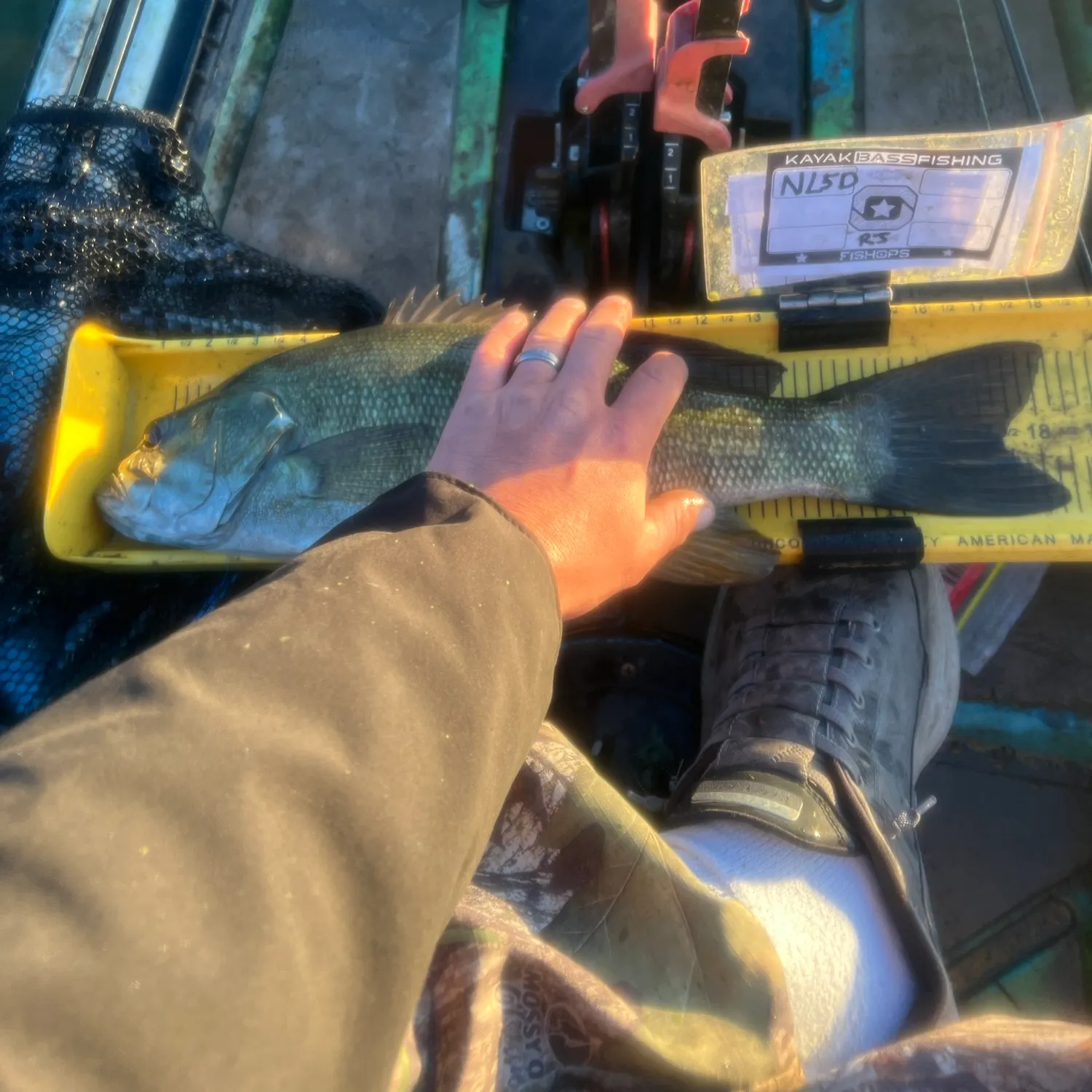 Smallmouth bass caught on Fishbrain
