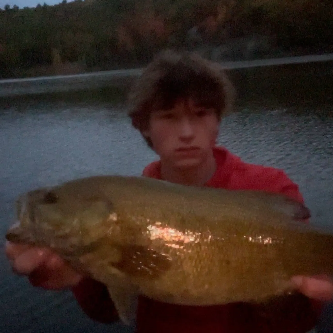 Smallmouth bass caught on Fishbrain