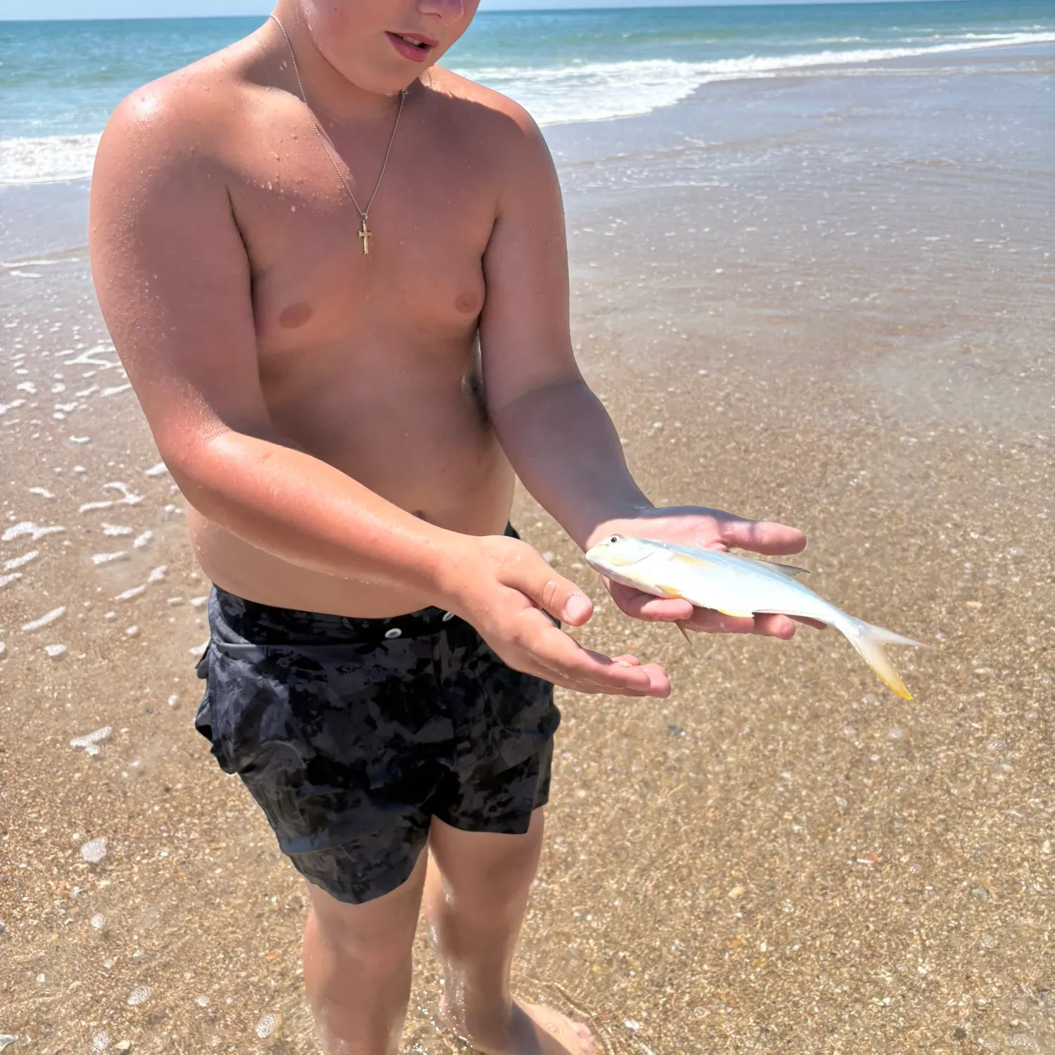 The most recent Florida pompano catches on Fishbrain