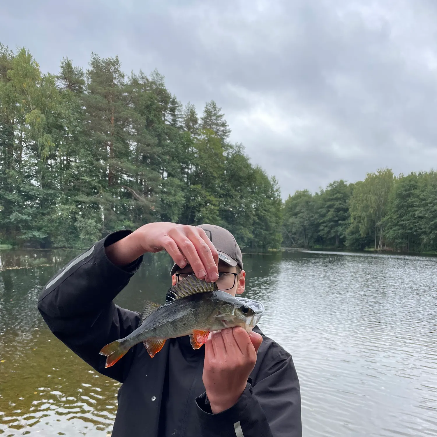European perch caught on Fishbrain