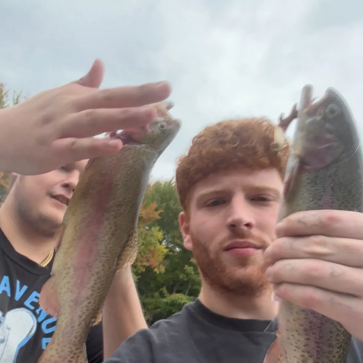 Rainbow trout caught on Fishbrain