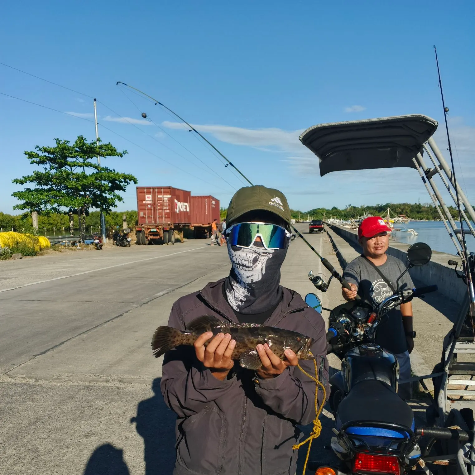 The most recent Orange-spotted grouper catches on Fishbrain
