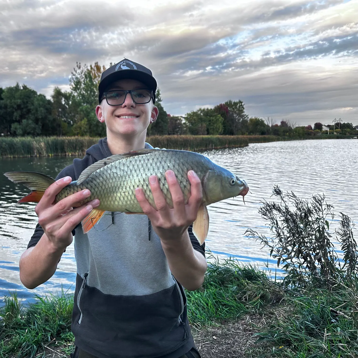 Common carp caught on Fishbrain