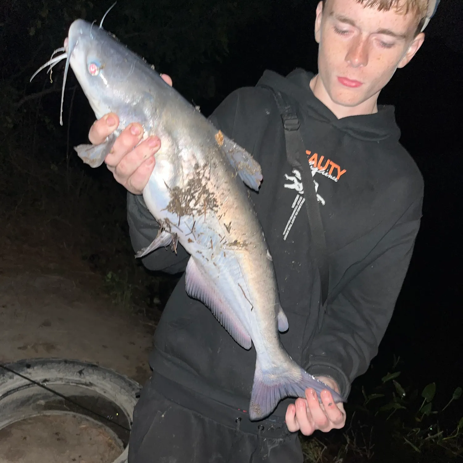 Blue catfish caught on Fishbrain