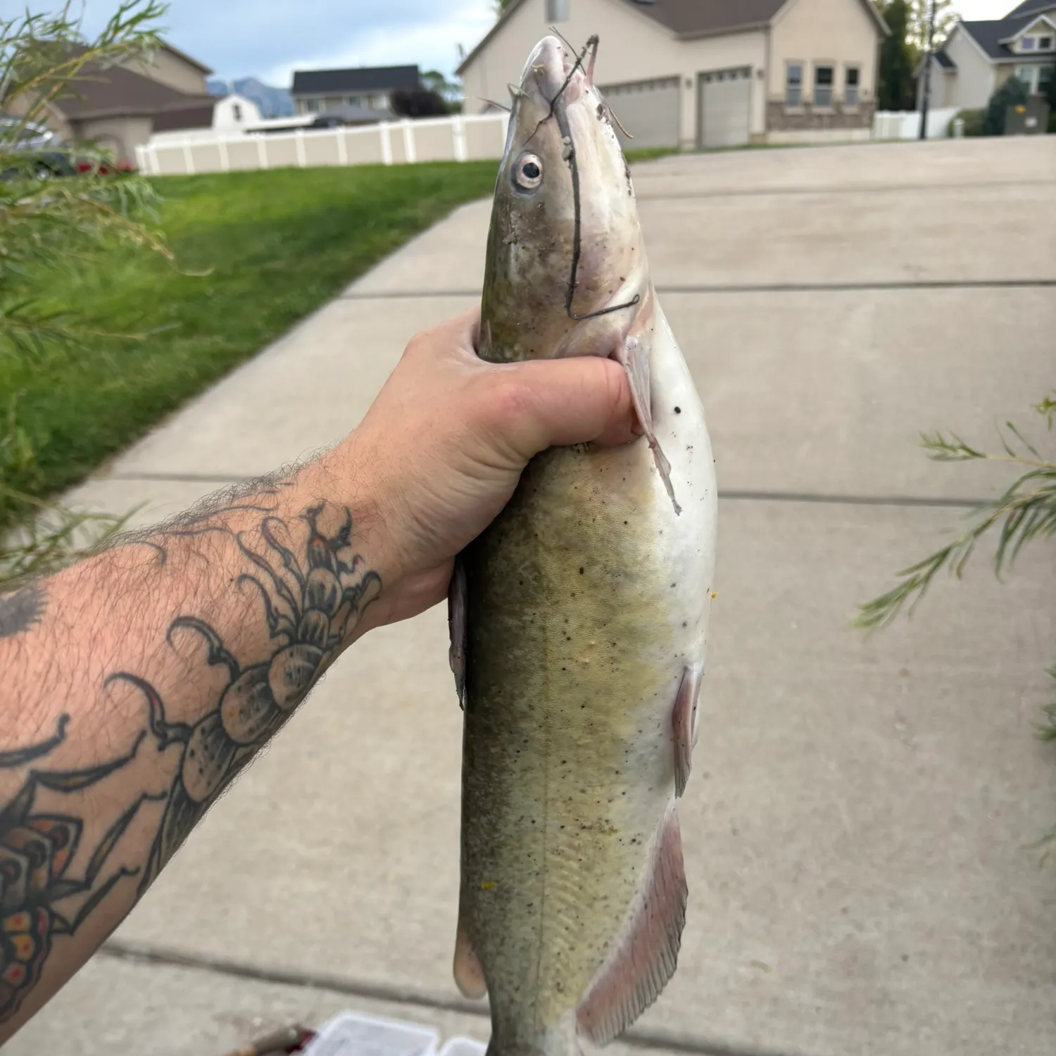 catch