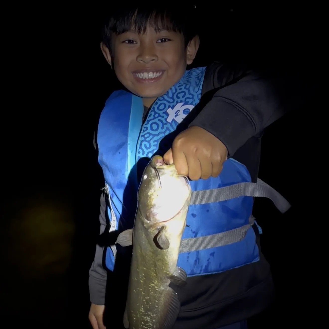 Black bullhead caught on Fishbrain