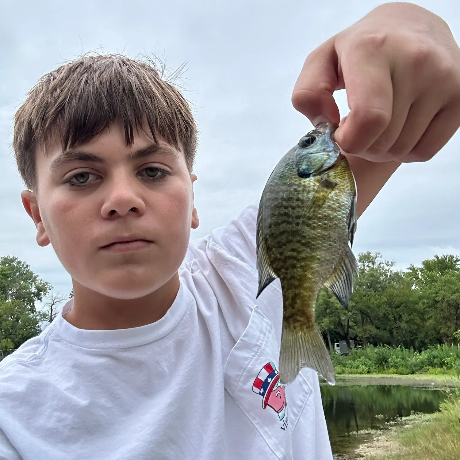 Bluegill caught on Fishbrain