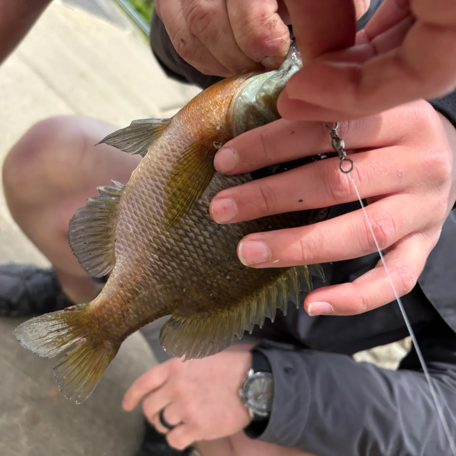 catch