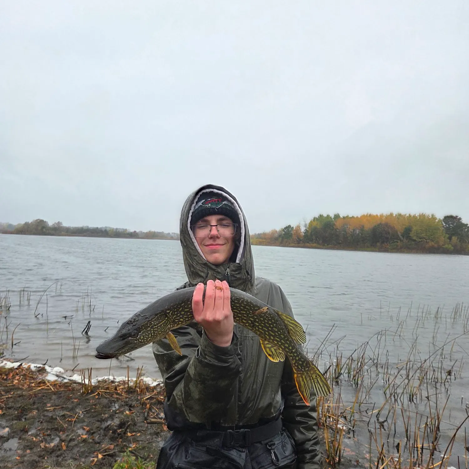 Northern pike caught on Fishbrain