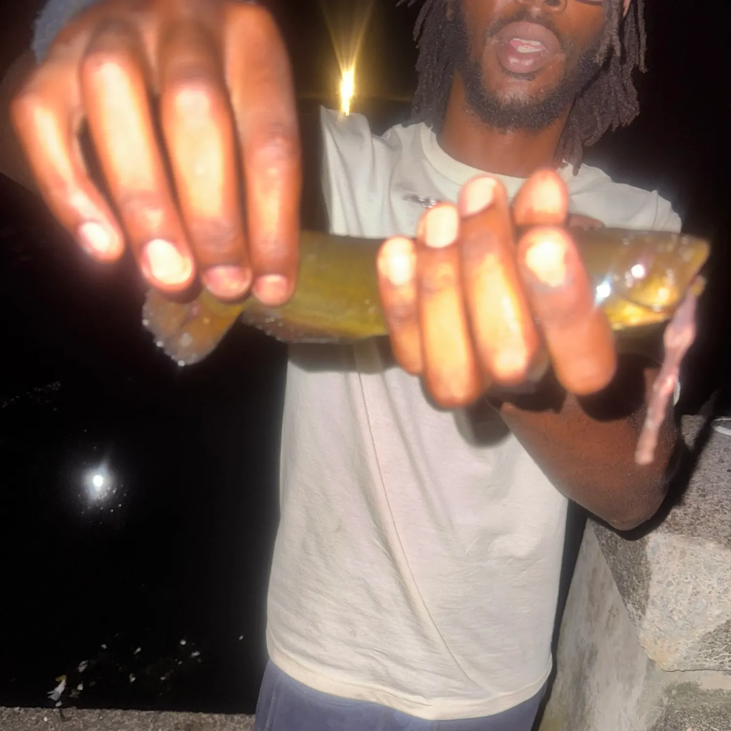 Yellow bullhead caught on Fishbrain