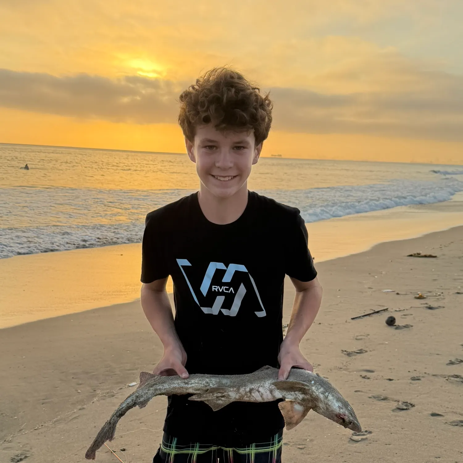 The most recent Sand tiger shark catches on Fishbrain