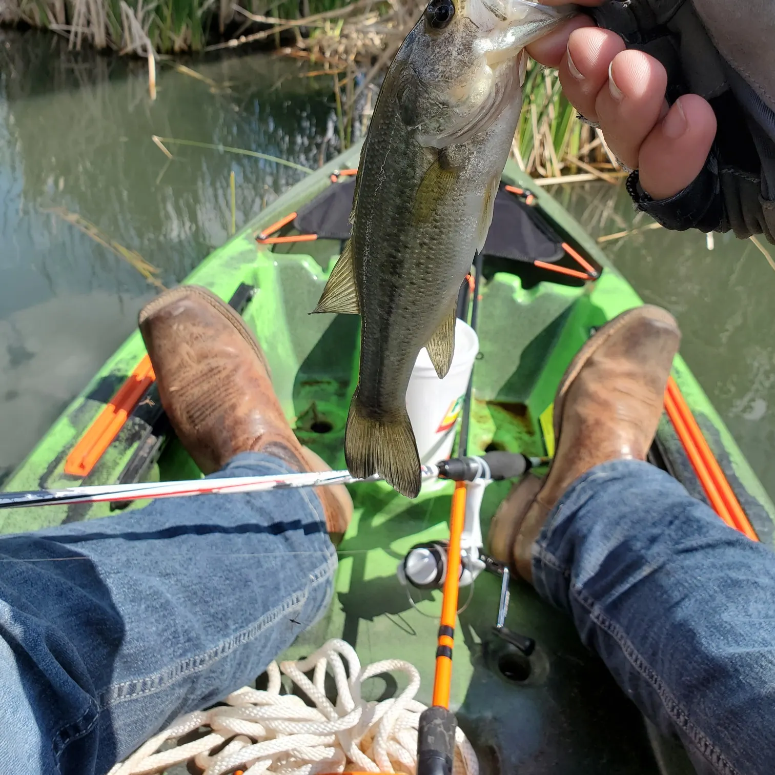 ᐅ Canadian River fishing reports🎣• Borger, TX (United States) fishing