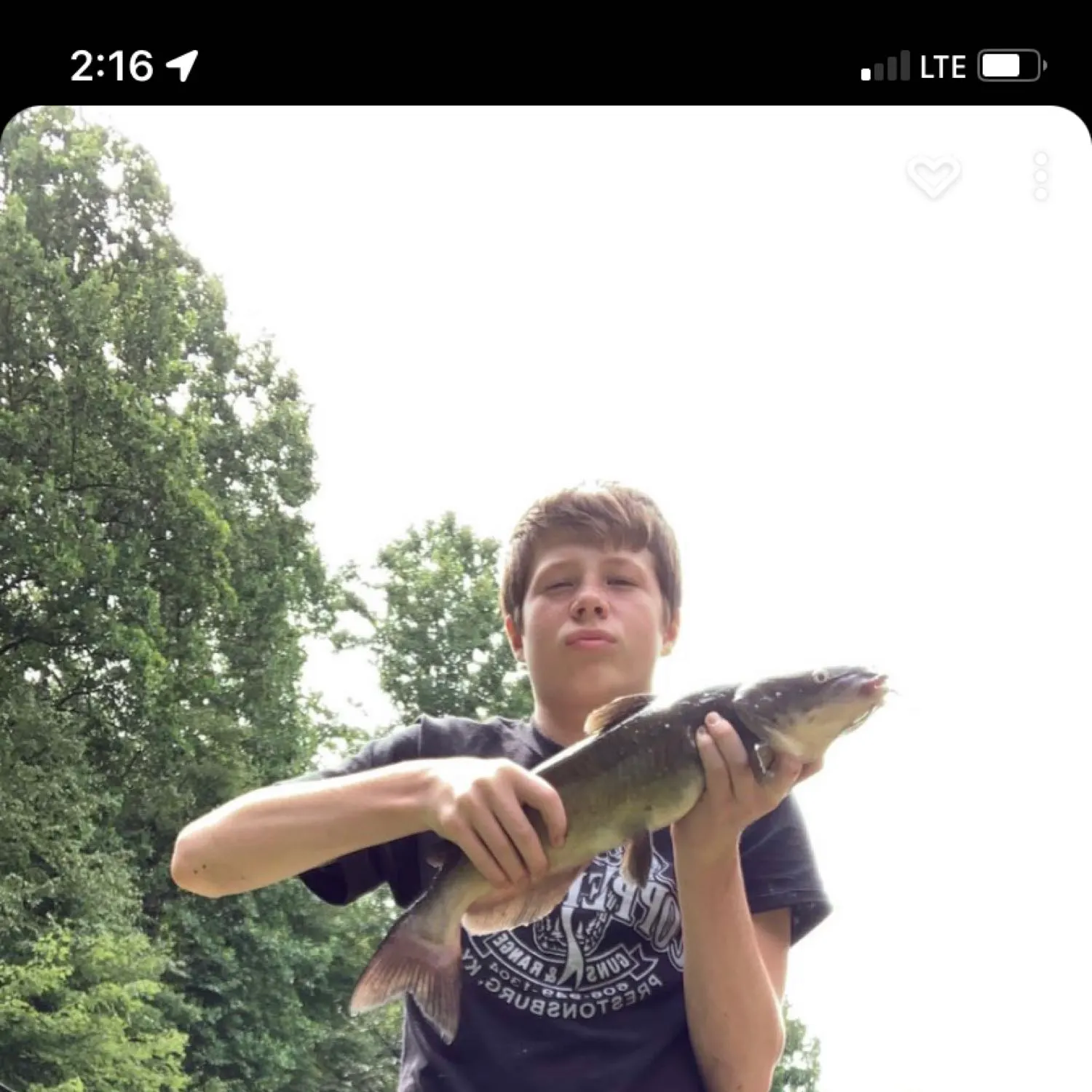 recently logged catches