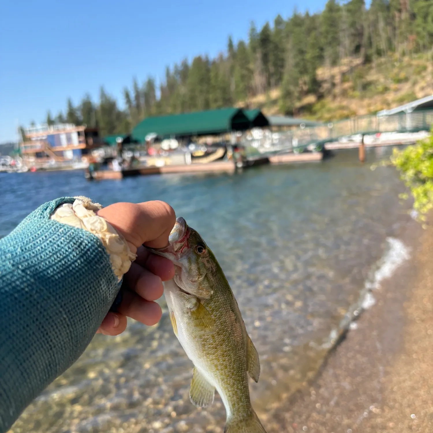 catch