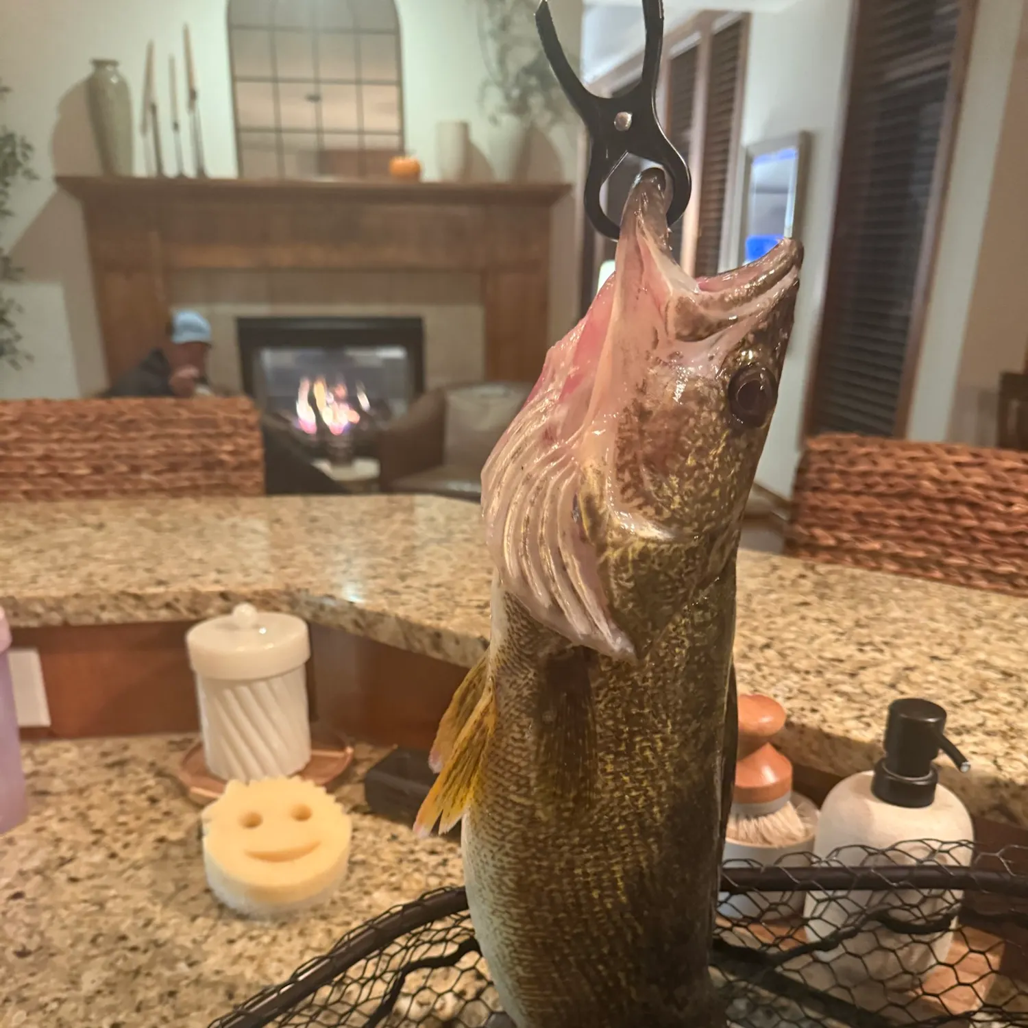 catch