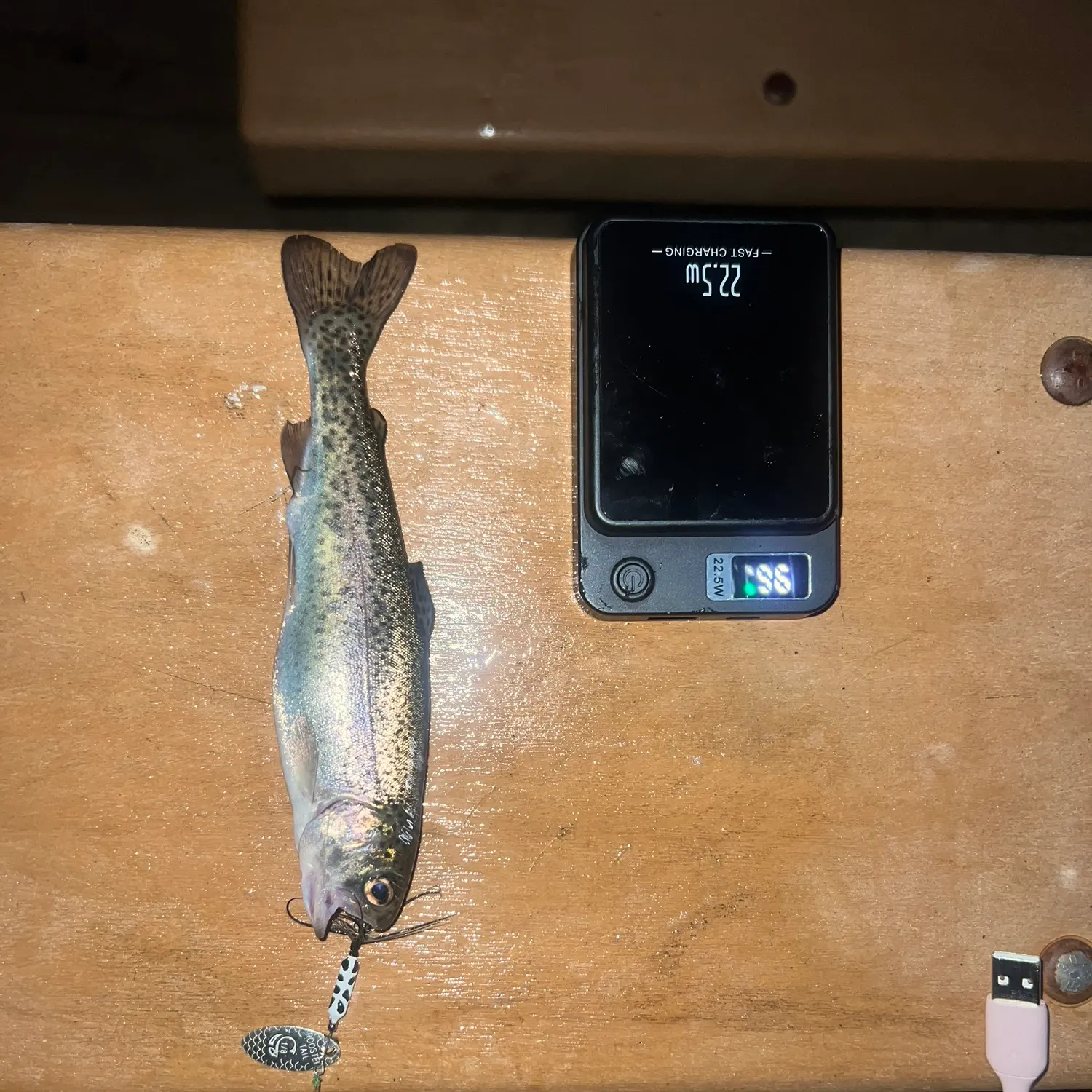 recently logged catches