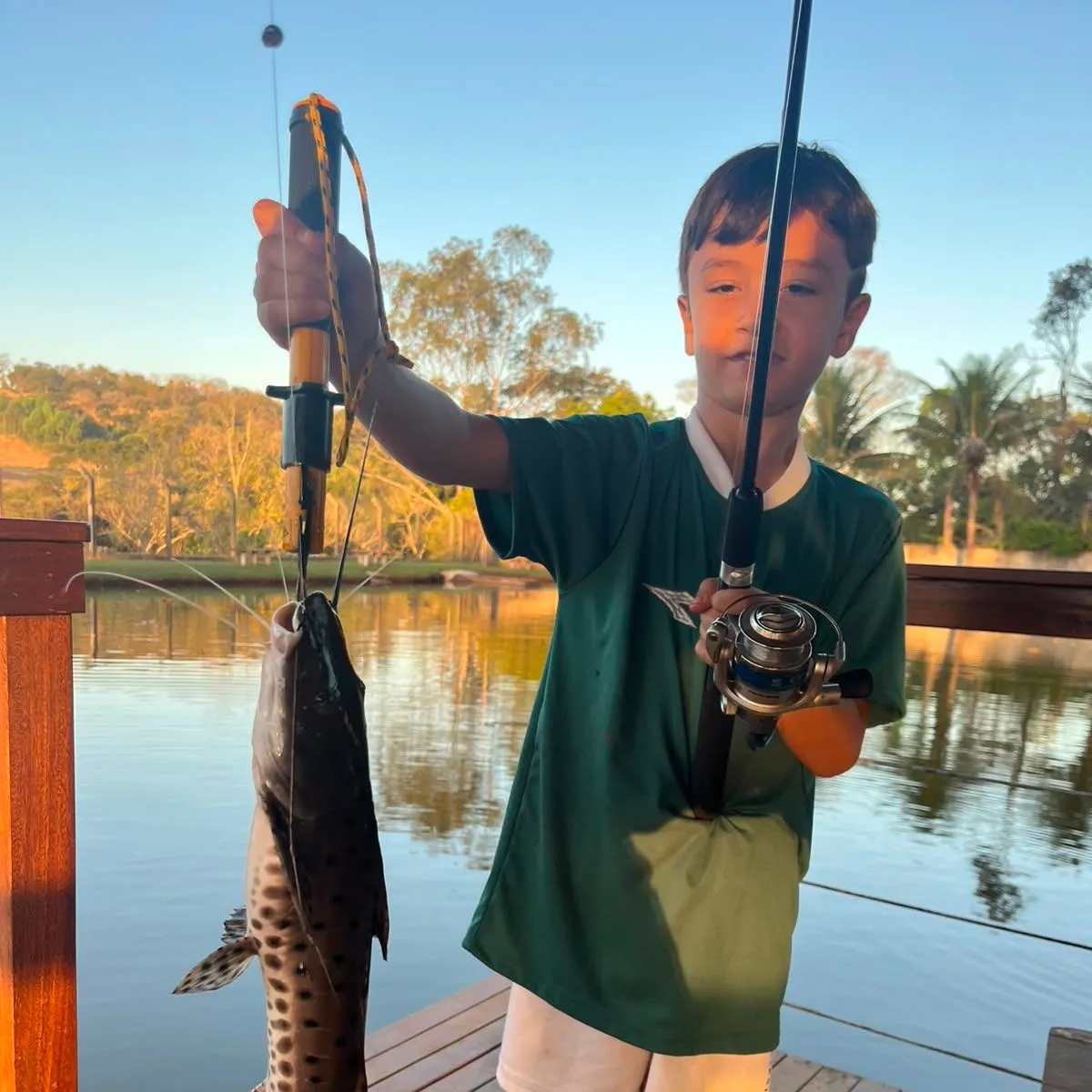 The most recent Spotted sorubim catches on Fishbrain