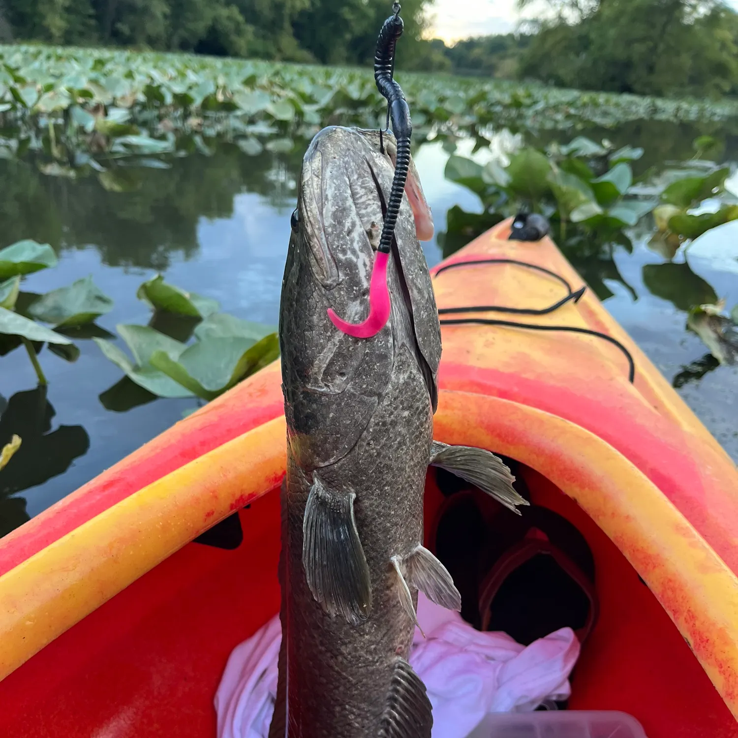 catch