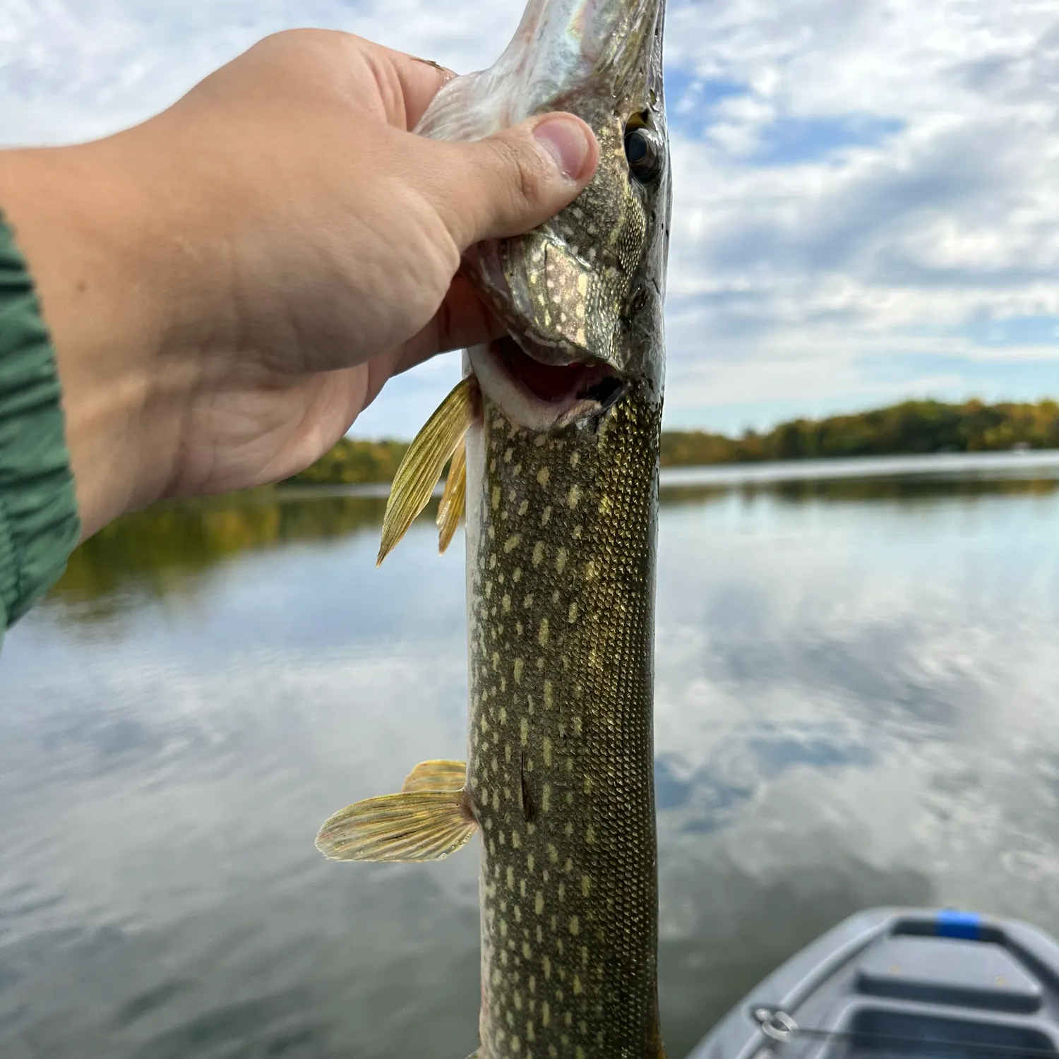 Northern pike caught on Fishbrain