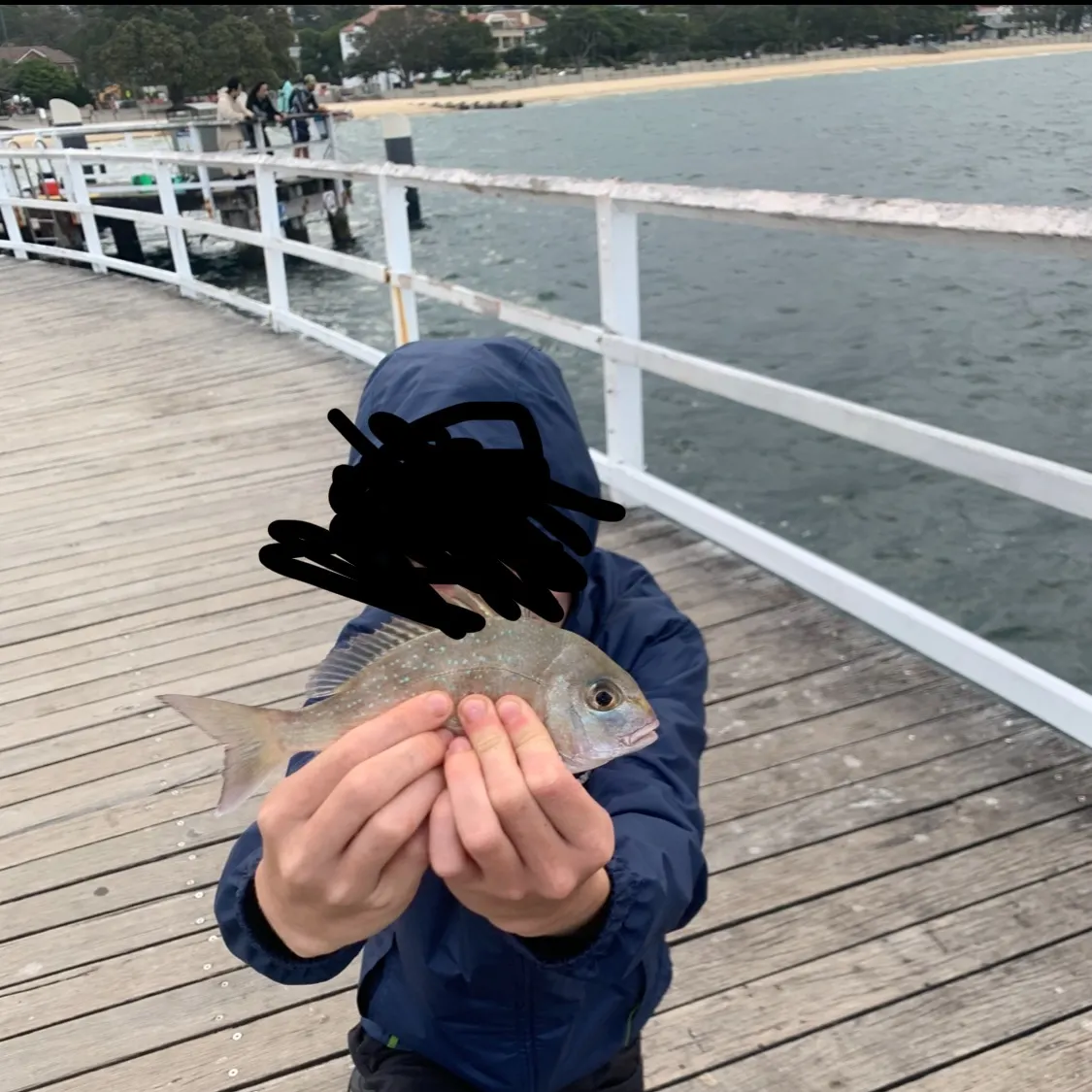 Australasian snapper caught on Fishbrain