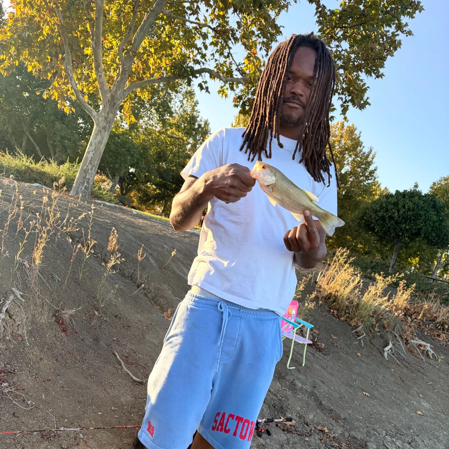 Spotted bass caught on Fishbrain