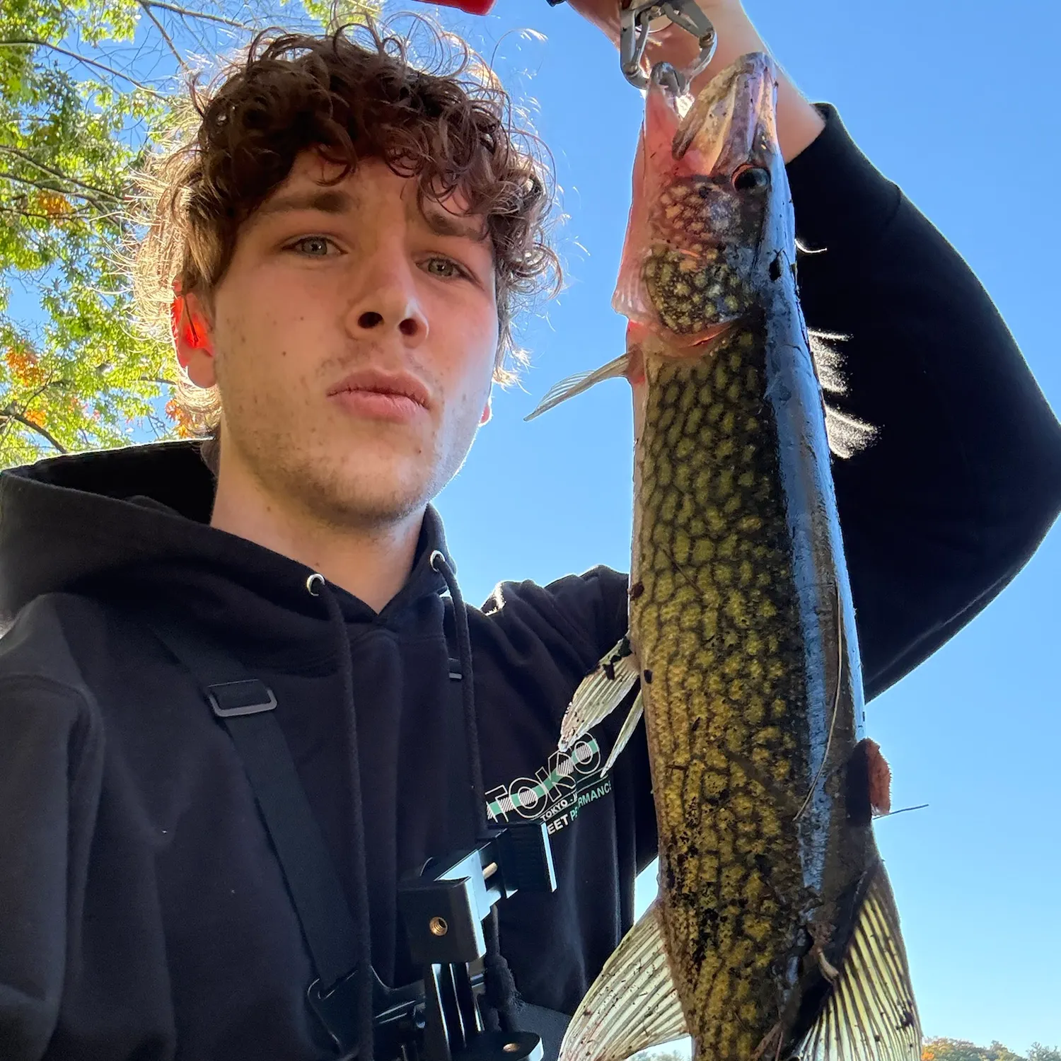 Chain pickerel caught on Fishbrain