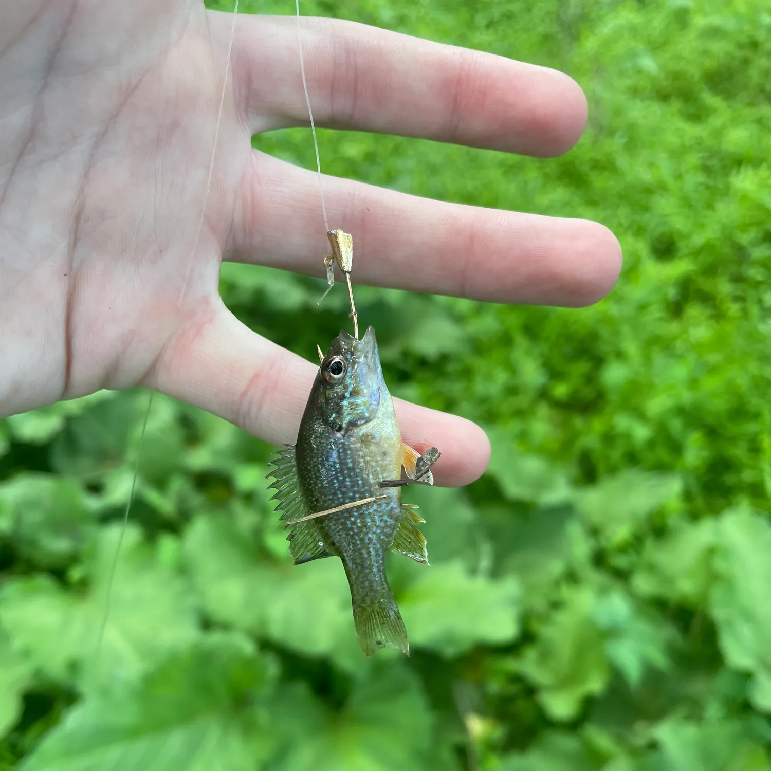 catch